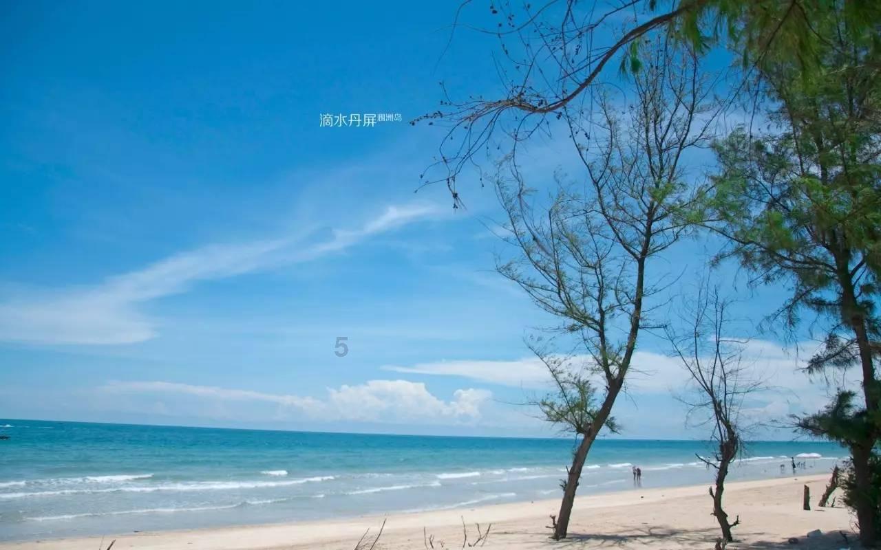 小猫钓鱼游戏龙王版有船