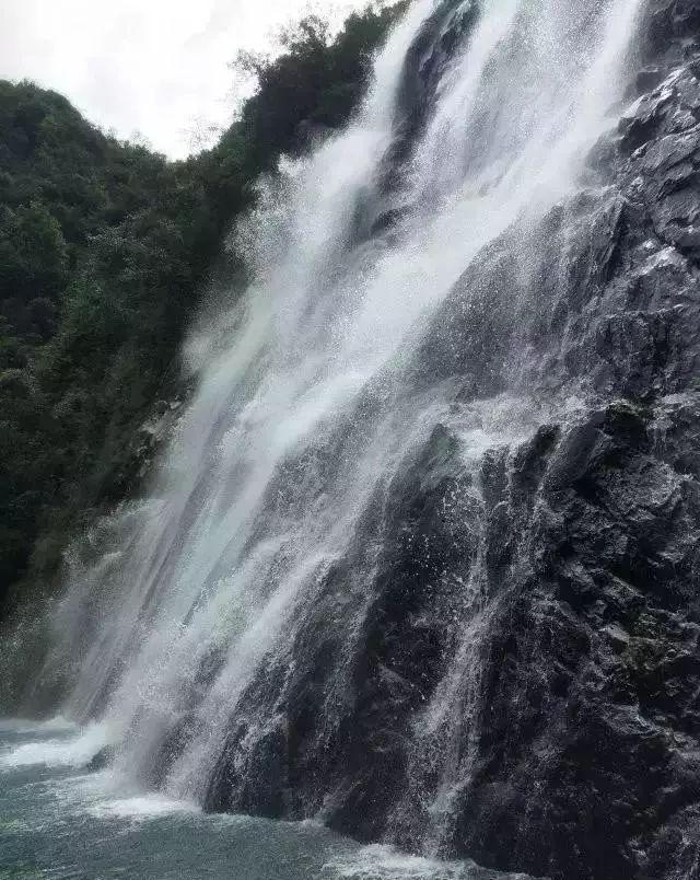 次元喵