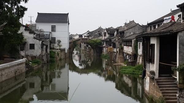 解惑蜗牛-床上快速找到跳蚤的方法问答平台